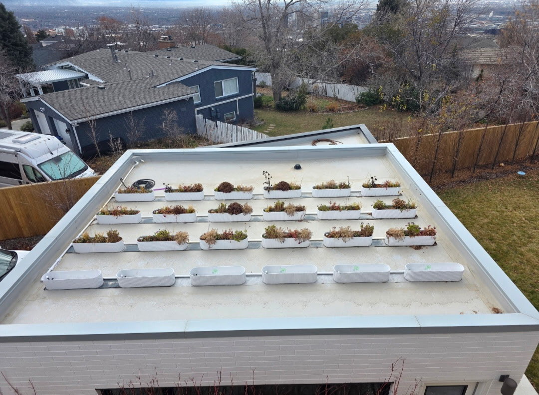 Flat white membrane roof with a green roof planter tray system overlooking the Salt Lake Valley